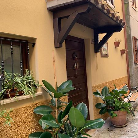 B&B Casa Di Carla Рипатрансоне Екстериор снимка